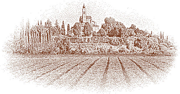 тоскана виноградник - tuscany stock illustrations