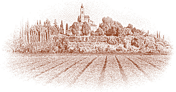 Etching illustration of ancient, elegant estate vineyard in Tuscany, Italy. 