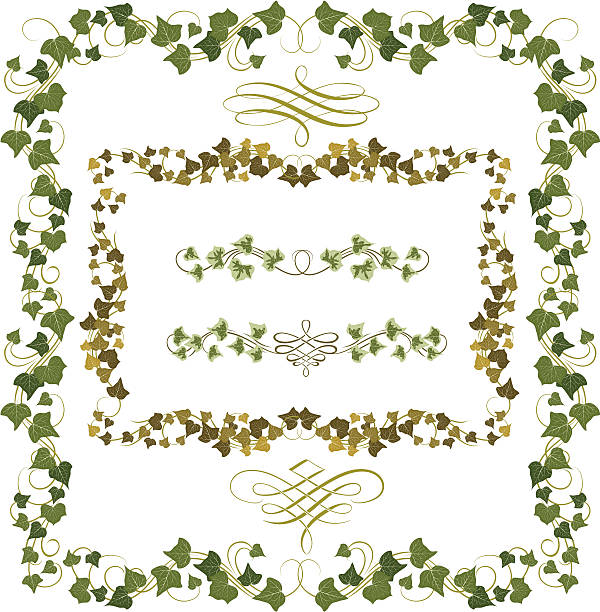 плющ оправе - ivy vine leaf frame stock illustrations