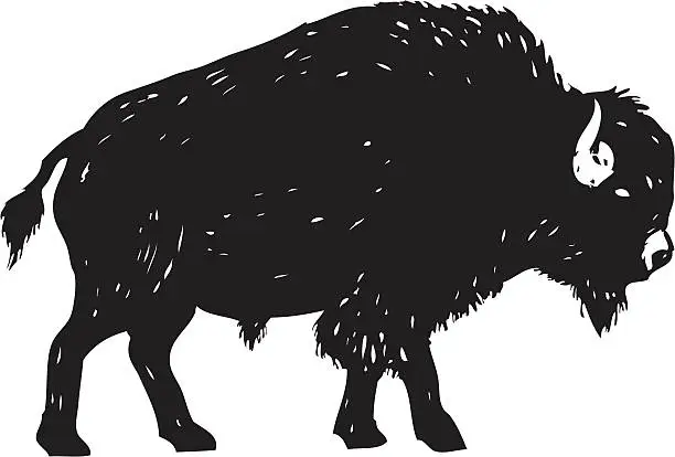 Vector illustration of sketchy bison