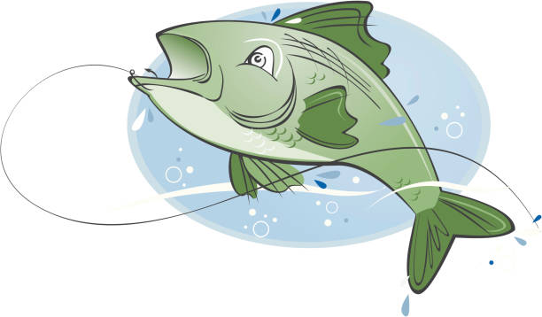 Bass Fish jumping with a hook Cute vector cartoon of a fish jumping out of the water with a hook. Alternative files include illustrator, freehand and PDF. cartoon fishing hook stock illustrations