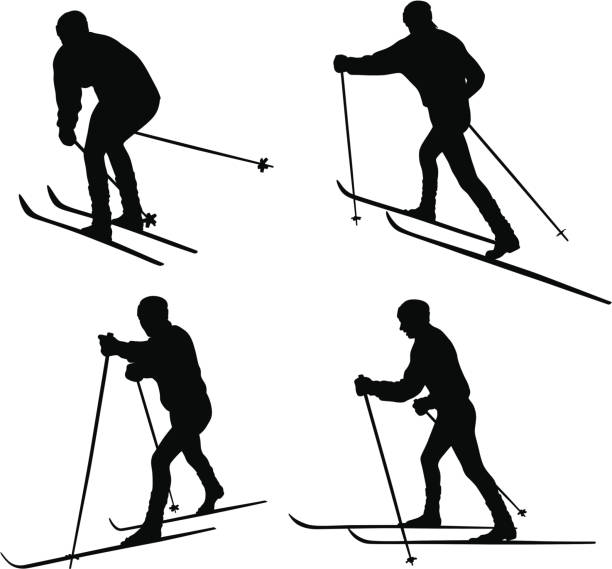 ilustrações, clipart, desenhos animados e ícones de crosscountry - ski pole