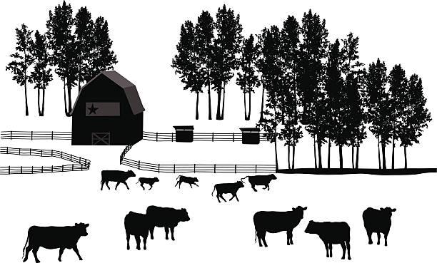 Ranch Land Vector Silhouette A-Digit corral stock illustrations