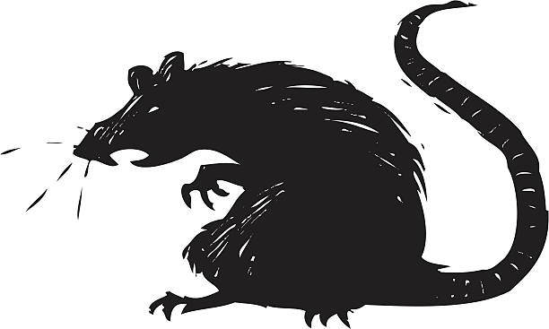 illustrazioni stock, clip art, cartoni animati e icone di tendenza di spaventoso ratto - ratto