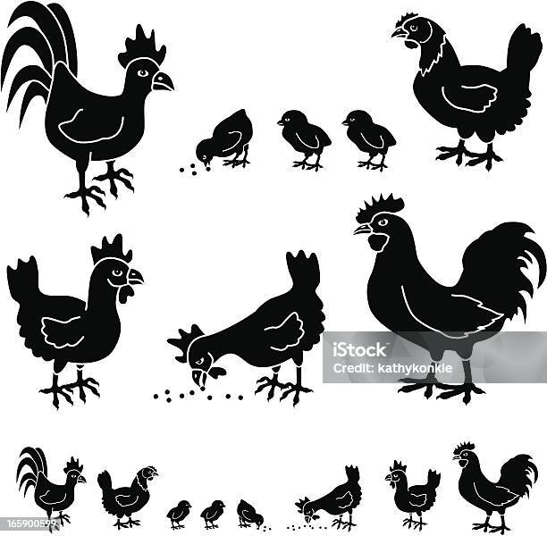 Chickens And Roosters Stock Illustration - Download Image Now - Chicken - Bird, Baby Chicken, In Silhouette