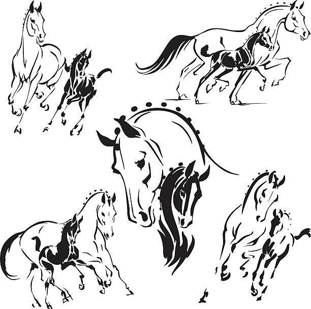 Mares and foals 2 Simplified silhouettes of mares and foals. For stud and breeding farms advertisement. colts stock illustrations
