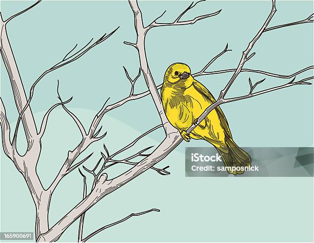 黄色ムシクイ類の木 - 線画のベクターアート素材や画像を多数ご用意 - 線画, イラストレーション, カットアウト