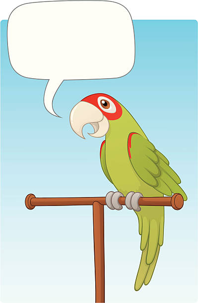 Parrot Speaking vector art illustration
