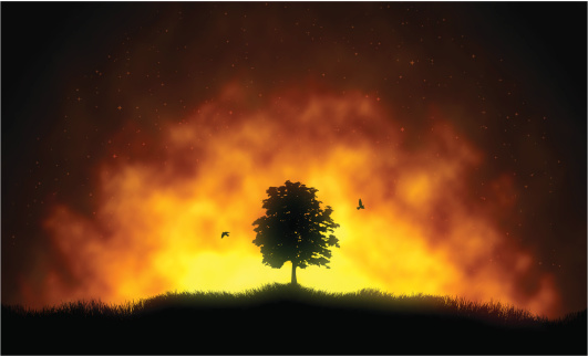 Vector illustration of fire and the silhouette of a tree with flying birds.