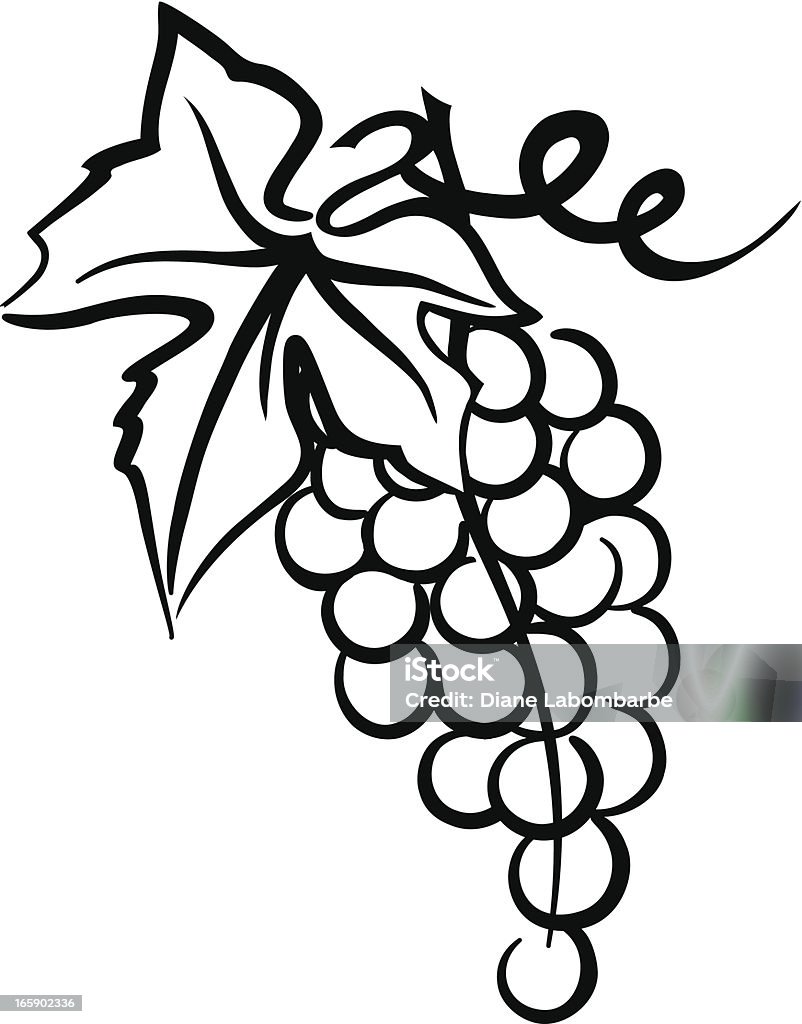 Bunch Of Grapes Simple Drawing with Leaf  Swirly Vine Simple black and white decorative stylized pen and ink style Grapevine with Grape bunch and single leaf.  Grape bunch is line art with swirly vine and tendrils. Hanging grapevine with leaf and grape bunch wine element clipart. Grape stock vector