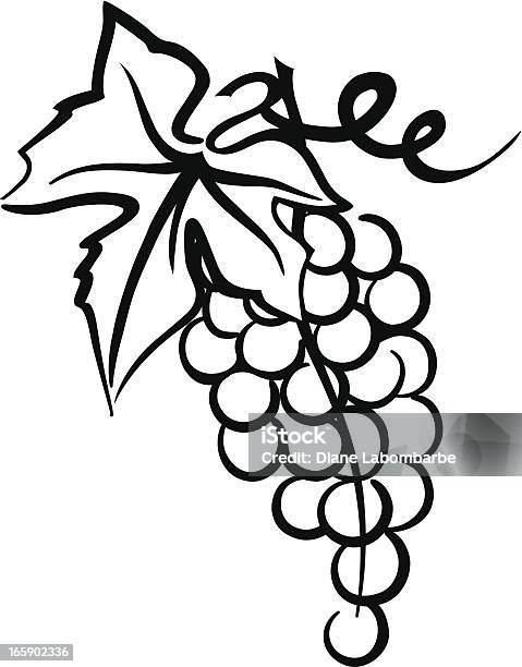 Bunch Of Grapes Simple Drawing With Leaf Swirly Vine Stock Illustration - Download Image Now