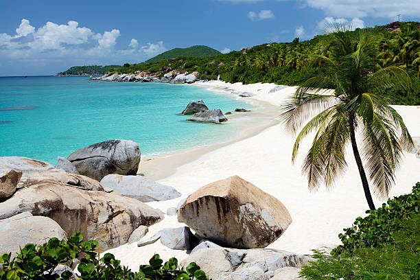 beach with boulders and palm trees in Virgin Gorda, BVI stock photo