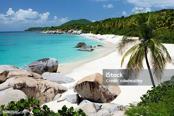 Beach With Boulders And Palm Trees In Virgin Gorda Bvi Stock Photo - Download Image Now