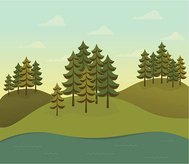 Evergreen forest on hills with river vector art illustration