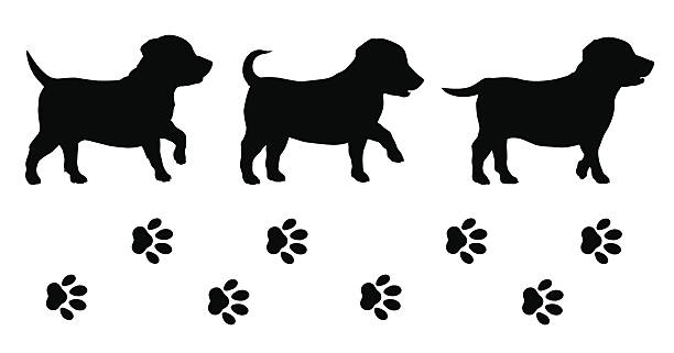 子犬 - ラブラドールレトリバー点のイラスト素材／クリップアート素材／マンガ素材／アイコン素材