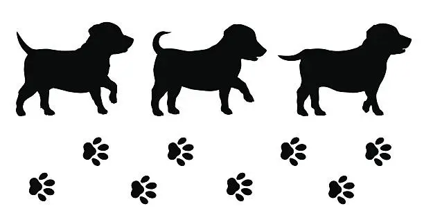 Vector illustration of Puppies
