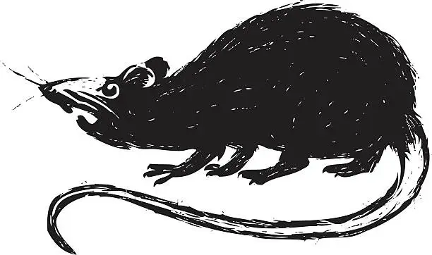 Vector illustration of sketchy rat