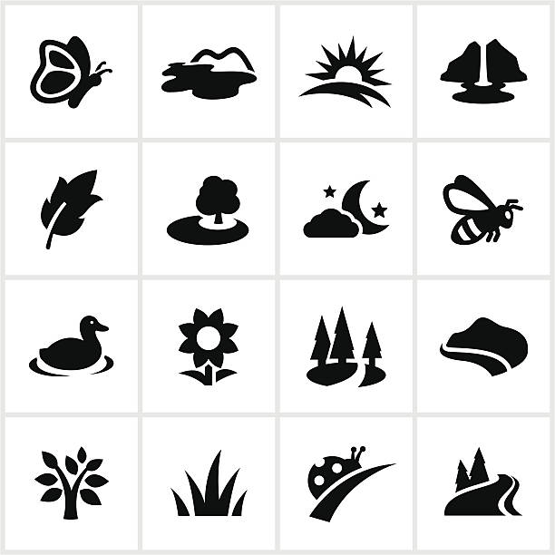 ilustraciones, imágenes clip art, dibujos animados e iconos de stock de durante el verano, iconos, negro - waterfall summer outdoors river