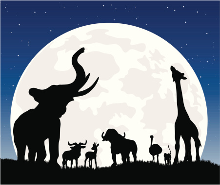 African animal in a silhouette safari at night against a large full moon and under the stars. The animals include an elephant, wildebeest, gazelle, cape buffalo, ostrich, monkey and giraffe.