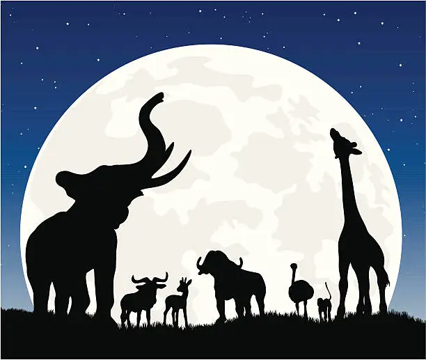 Vector illustration of African animal silhouette safari at night with moon