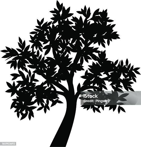 Olive Tree Ii Stock Illustration - Download Image Now - Birch Tree, In Silhouette, Beauty In Nature