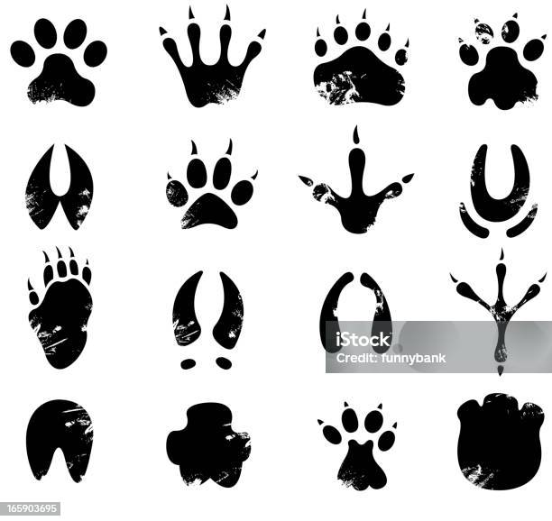 Muddy Footprint Symbols Stock Illustration - Download Image Now - Footprint, Animal, Animal Themes