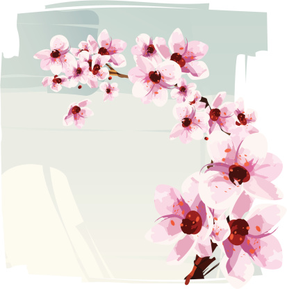 Illustration of a cherry blossom - sakura. Flowers, branch and background are grouped and layered separately.