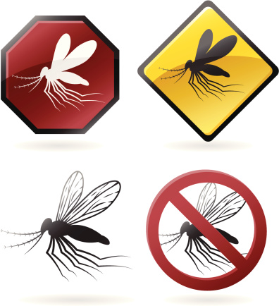 Collection of mosquito parasite icons. 