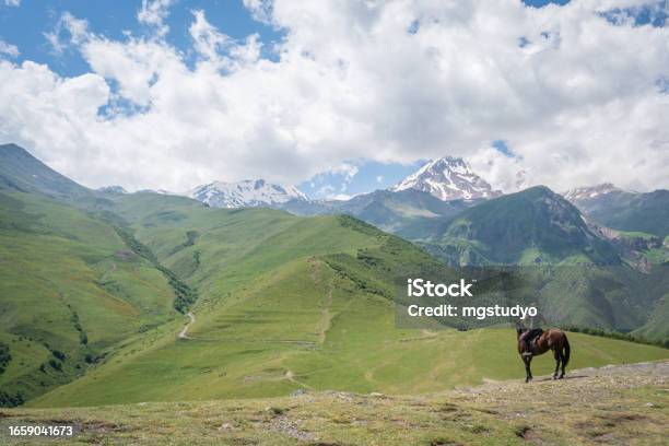 Georgian Man With His Horse In Caucasus Mountains Stock Photo - Download Image Now - Georgia - Country, Gudauri, Adult