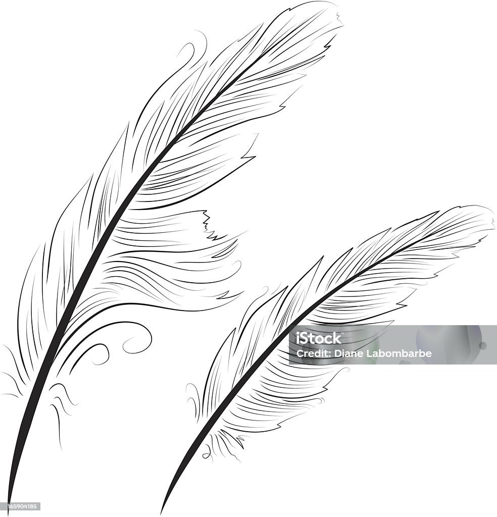 シンプルなコンターブラック Linework フェザーズ Quills 作成に使用される - 羽ペンのロイヤリティフリーベクトルアート