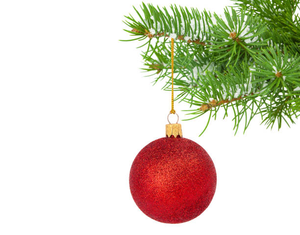 ornamento de natal vermelho no ramo da árvore do abeto isolado no branco - fir tree christmas branch twig - fotografias e filmes do acervo