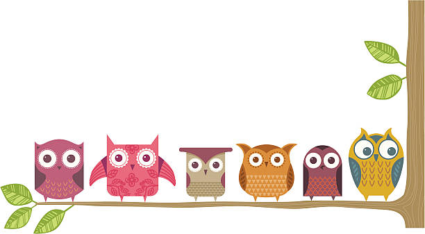 Owl branch vector art illustration