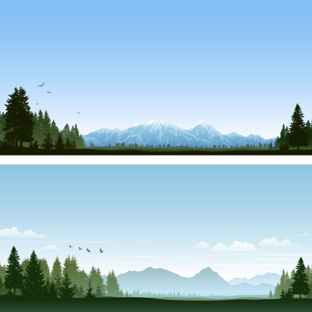 Forest and Mountains Nature backgrounds with evergreen forest and mountains. File is layered and global colors used. Hi-res JPG included. Please take a look at other work of mine linked below.  rolling landscape stock illustrations