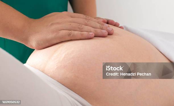 Doctor Masseur Chiropractor Makes A Light Massage To A Pregnant Girl For Skin Tone And Removal Of Stretch Marks On The Skin Therapeutic And Cosmetic Procedure Closeup Stock Photo - Download Image Now