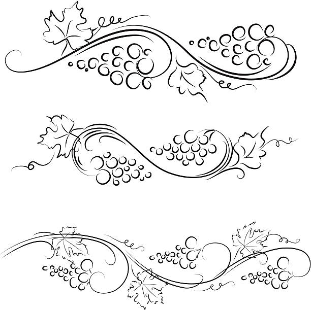 Grape ornaments file_thumbview_approve.php?size=1&id=22240009 vineyard wine frame vine stock illustrations