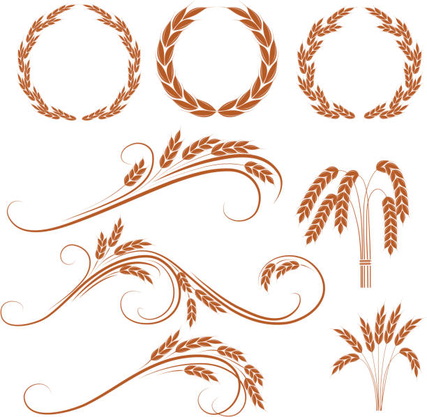 ilustraciones, imágenes clip art, dibujos animados e iconos de stock de trigo wreaths - whole wheat