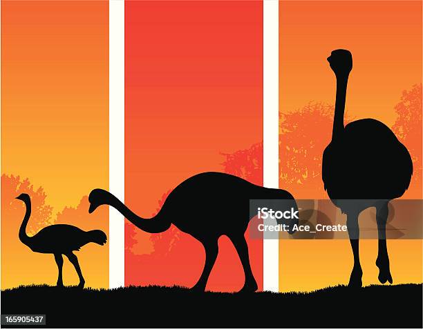 Ilustración de Avestruz Siluetas En Un Clima Cálido y más Vectores Libres de Derechos de Emú - Ave - Emú - Ave, Agricultura, Aire libre