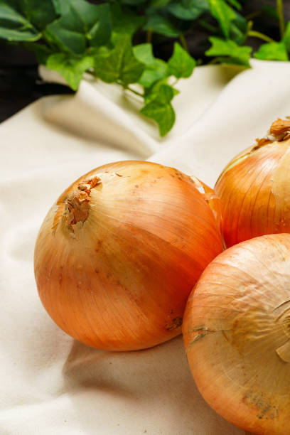 istock Raw unpeeled onions on wooden table 1659060124