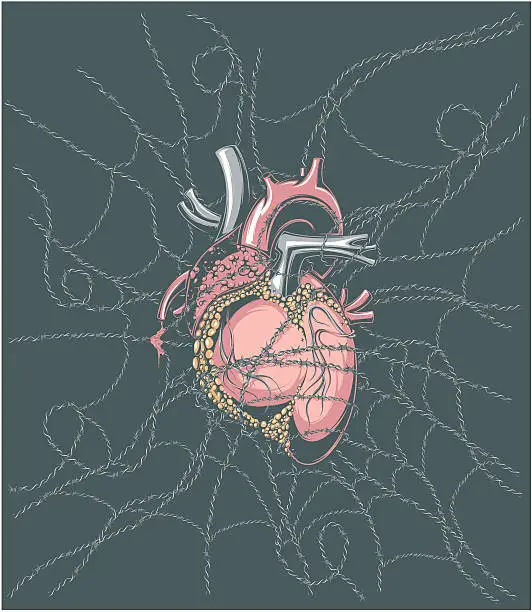 Vector illustration of heart in barbed wire web