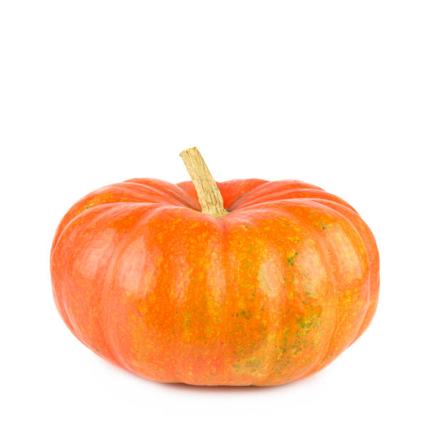 istock Pumpkin isolated on white. Free space for text. 1659062282