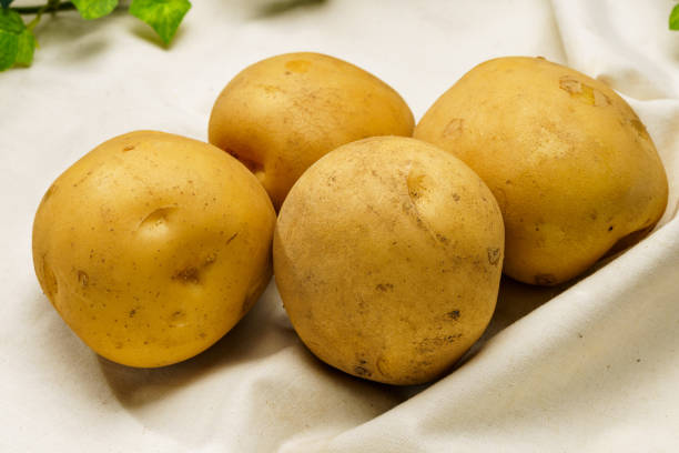 istock Raw unpeeled potatoes on wooden table 1659062289