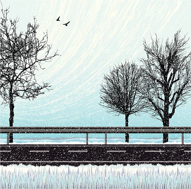 snow, road and trees background snow landscape with deserted road, crash barrier, birds and trees. Individual elements and textures. 5000 × 4943 JPG included. http://i161.photobucket.com/albums/t234/lolon5/roads.jpg snow road stock illustrations