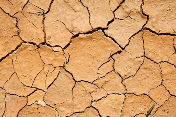 istock dried and cracked earth texture 1659065153