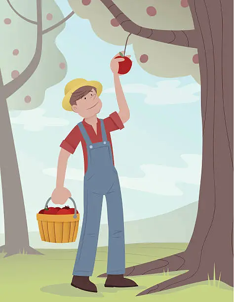 Vector illustration of Picking Apples