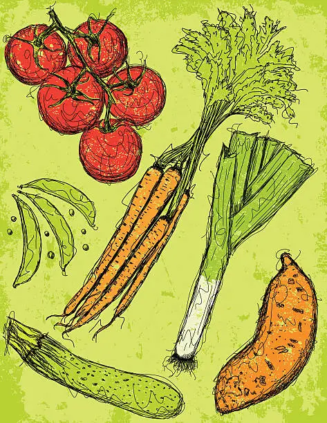 Vector illustration of Vegetable sketches with texture