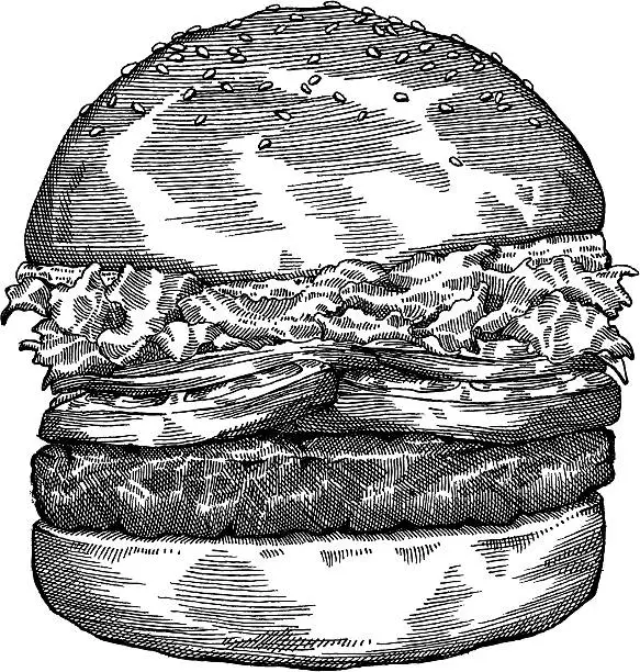 Vector illustration of Hamburger Drawing