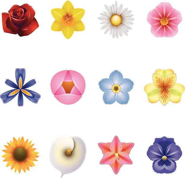 Vector illustration of Flower Icons