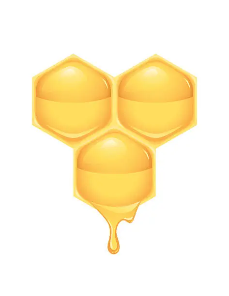 Vector illustration of Honeycomb Drip