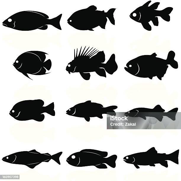 Силуэты Fishes — стоковая векторная графика и другие изображения на тему Рыба - Рыба, Иконка, Силуэт