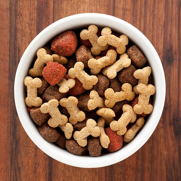 comida para perro - comida para perro fotografías e imágenes de stock